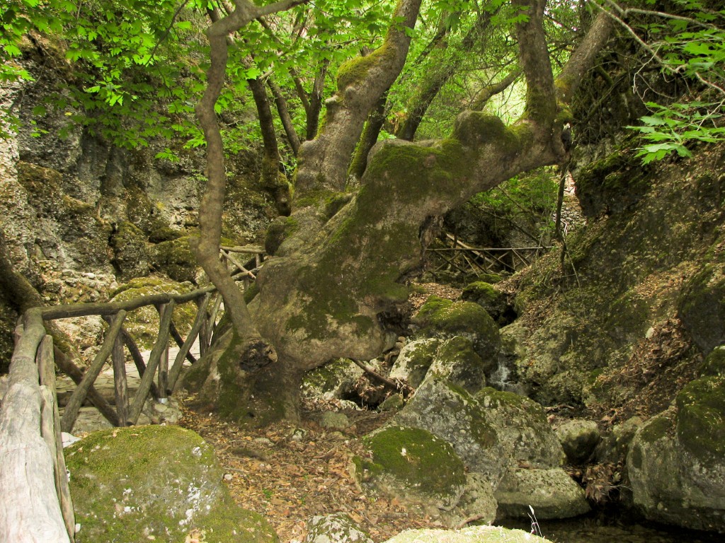Valley of the Butterflies (Petaloudes)